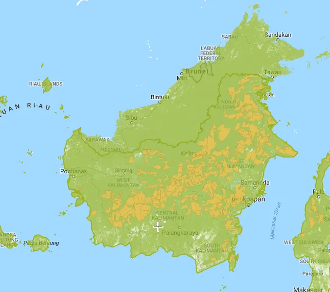 Kalimantan Indonesian Forest Concessions